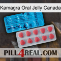 Kamagra Oral Jelly Canada new14